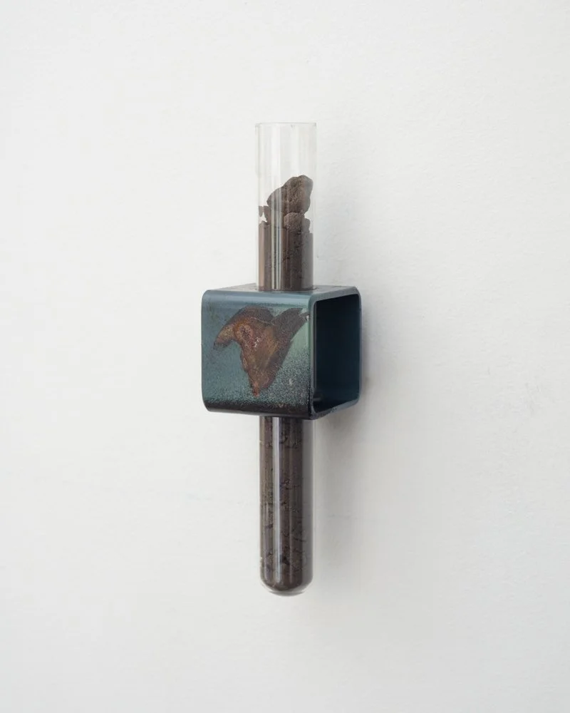 00004MLimonIron_blood - Matiz Press.jpg
