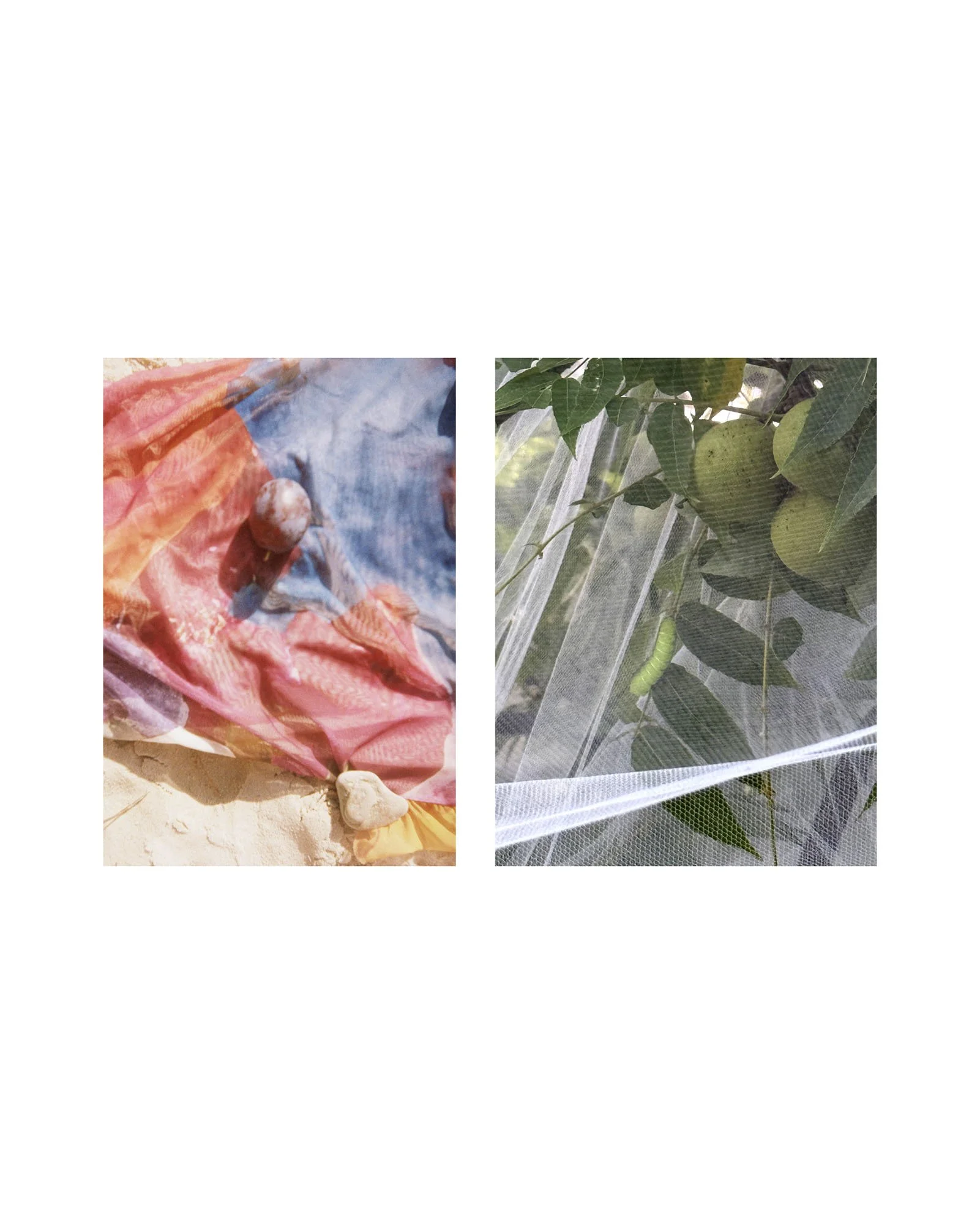 maddy-8x10-dyp 8x10 web.jpg