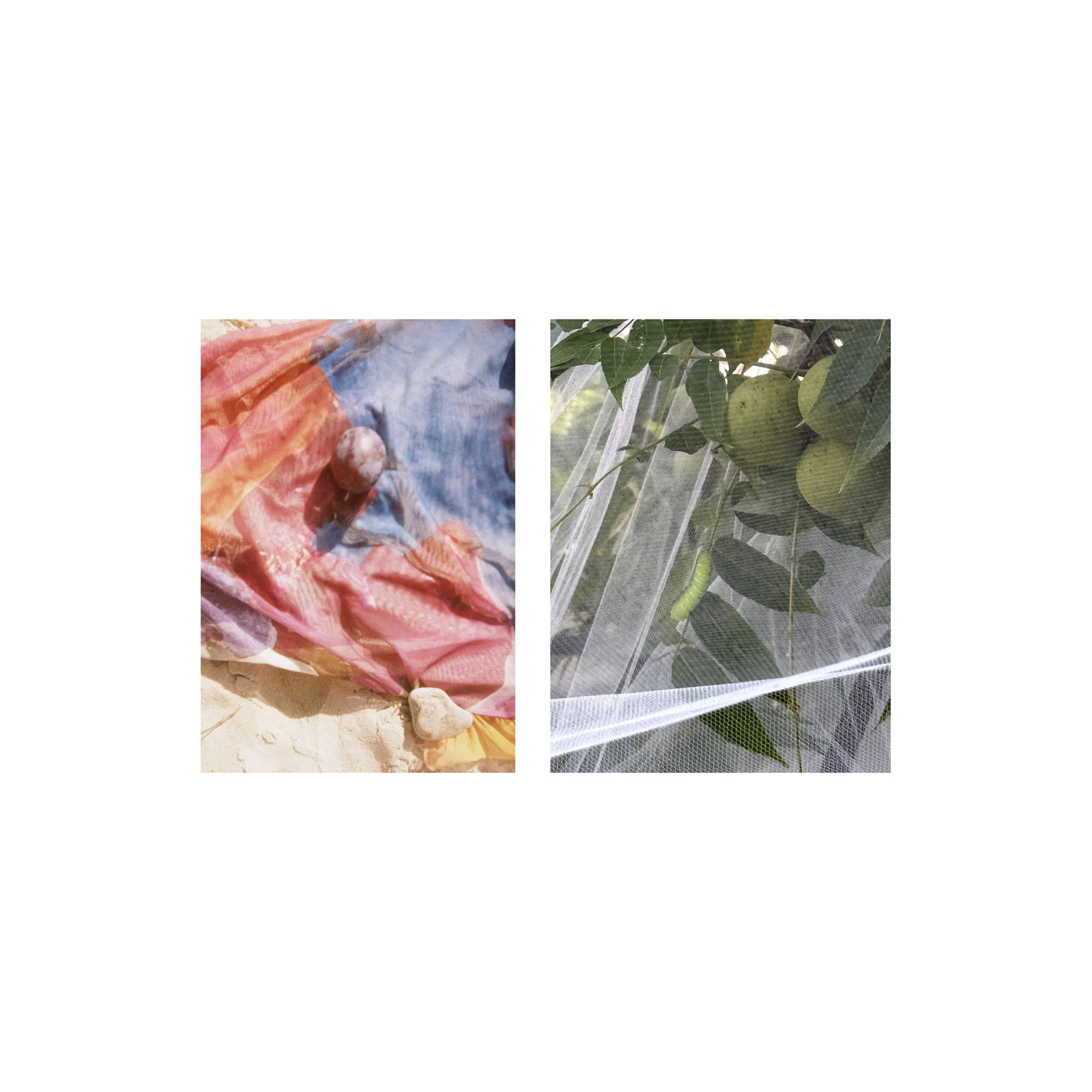 maddy-8x10-dyp 8x10 web square.jpg