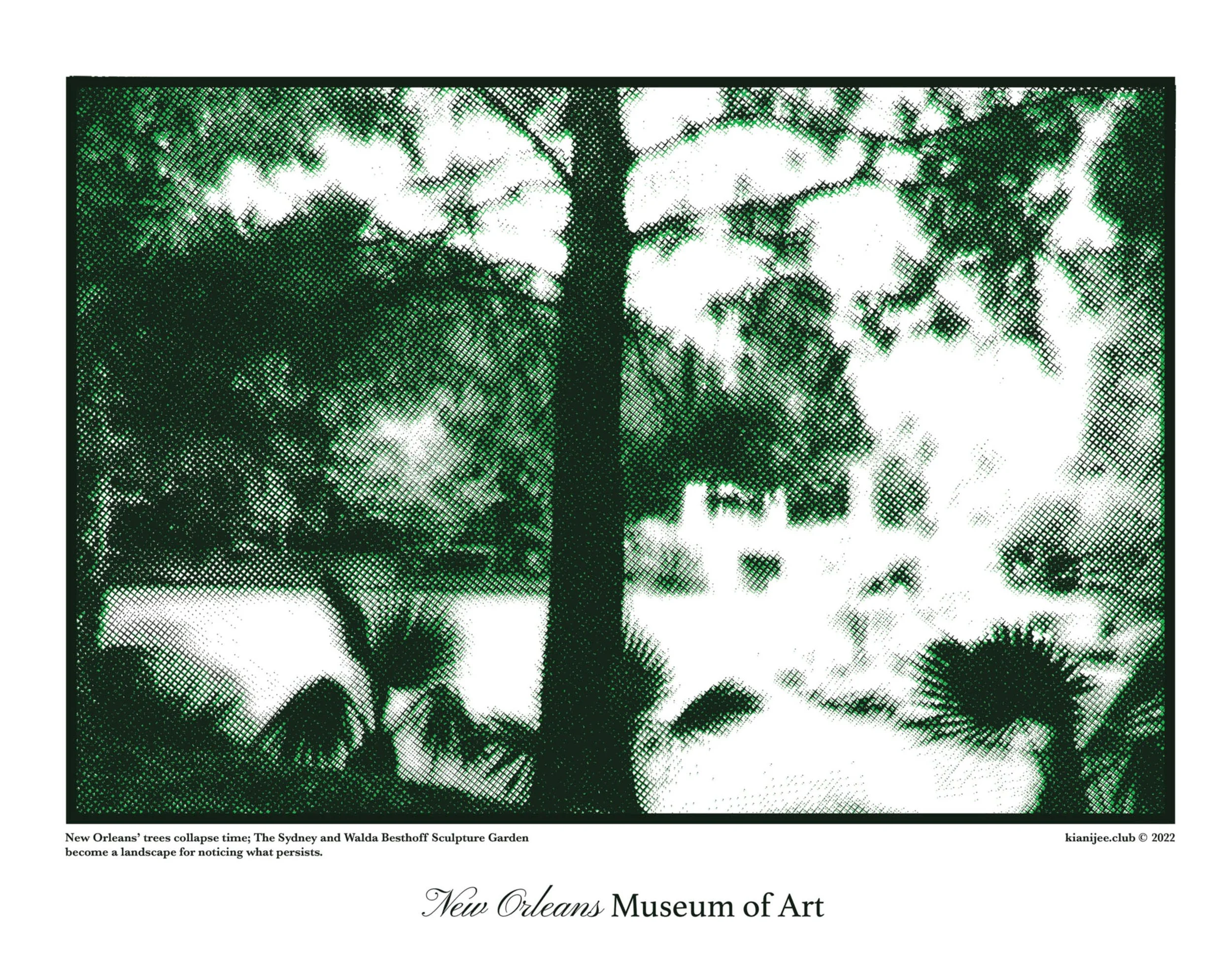 Zakia 2 11x14 web.jpg