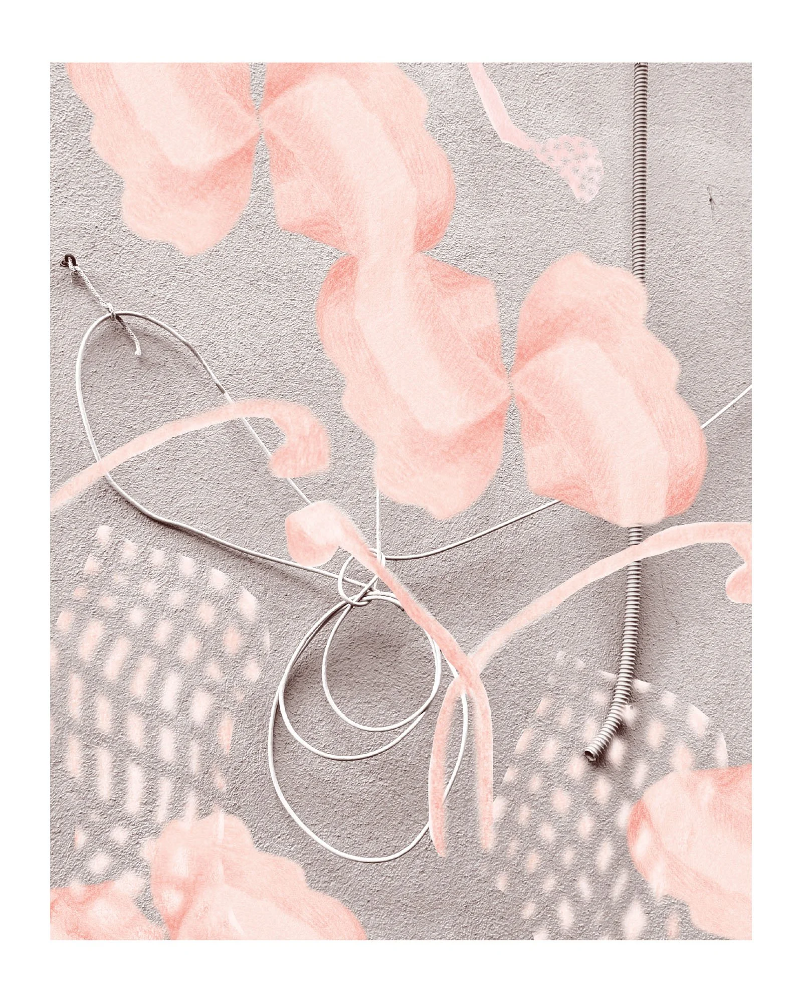 maddy-dream-8x10 final web.jpg