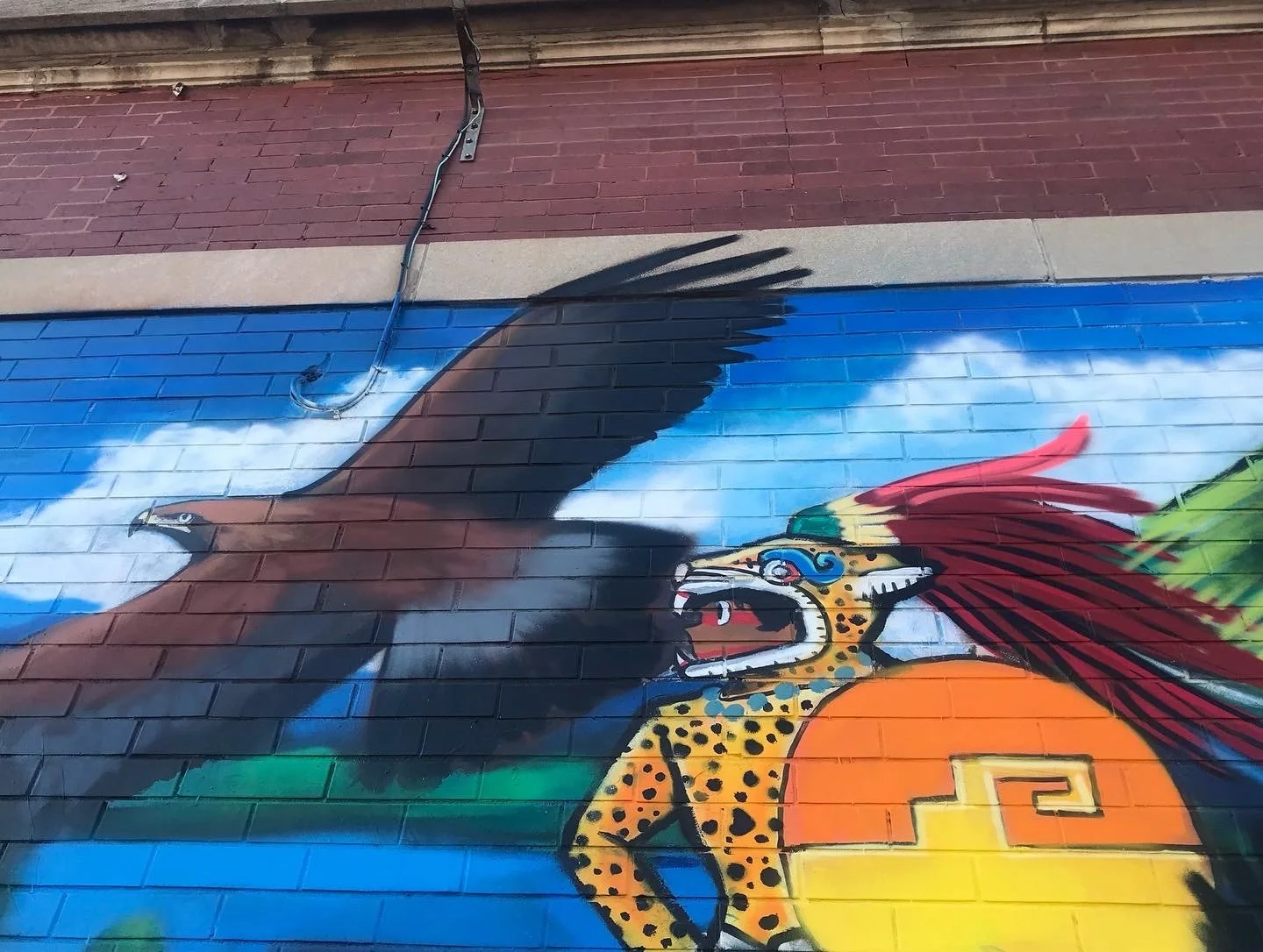 Artist @mr.pintamuro