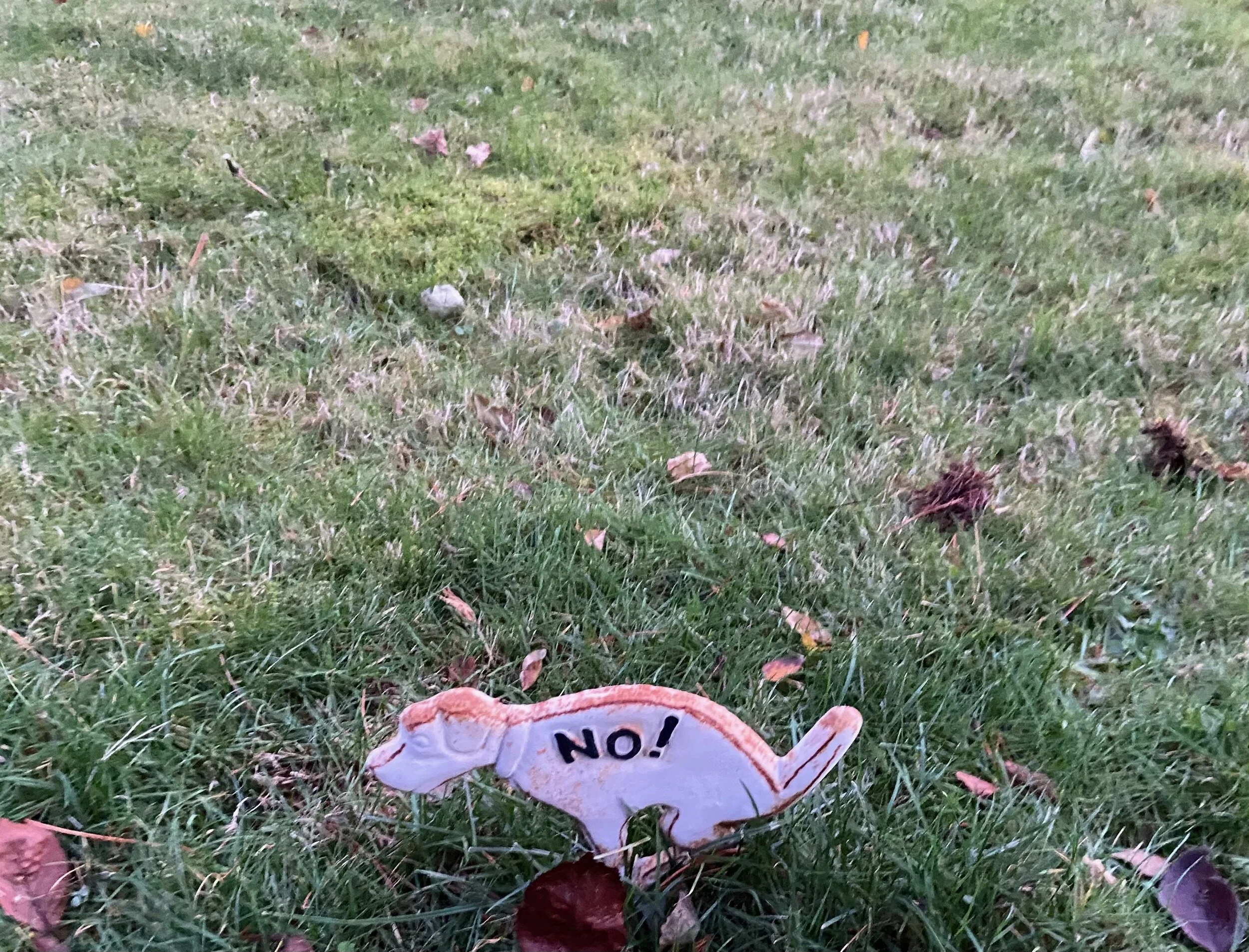 Don't Poop Here.