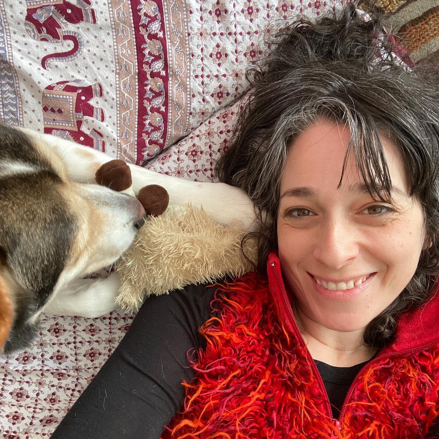 Me and my valentine🥰🐶 #valentinesdaychallenge 
❤️How&rsquo;d you meet: I first saw him on PetFinder, then we met via video call thanks to Alayna and Eartha, then in person at SeaTac airport (with Meg, too!)
 
❤️First Date: online with his foster ma