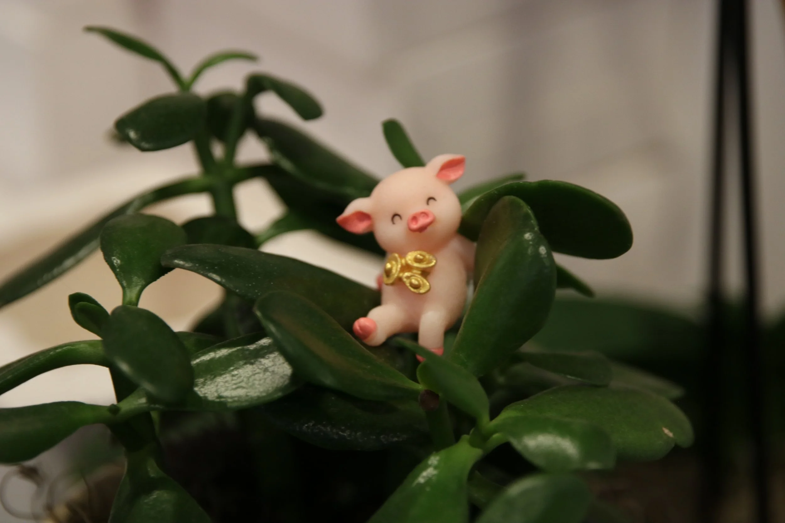 Menu — Sweet Piglet