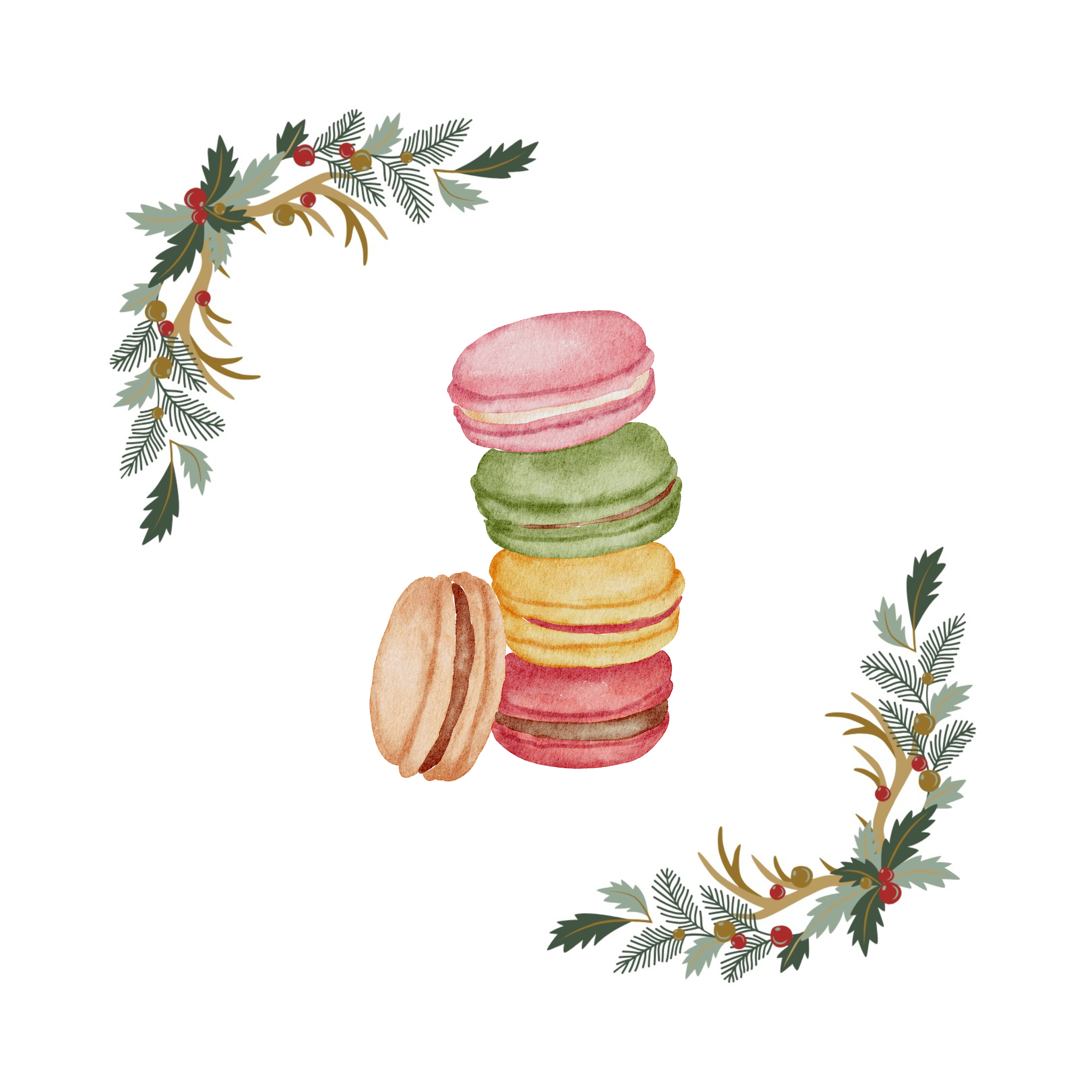 Macaron Box