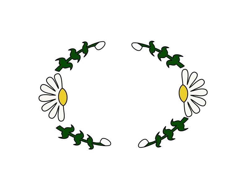 Wildflower-illustration.jpeg