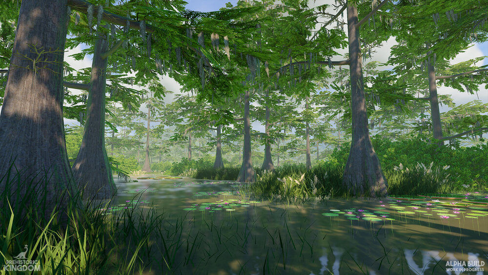 Swamp1.jpg