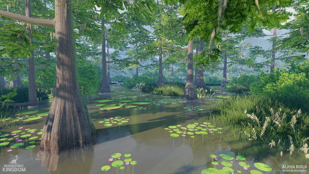 Swamp3.jpg