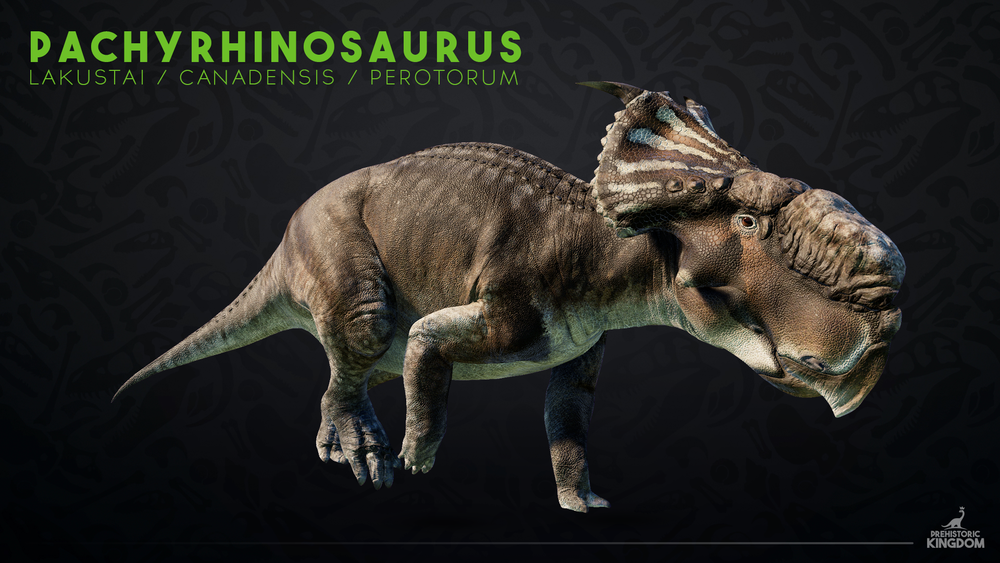 Pachyrhinosaurus.png
