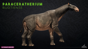 Paraceratherium bugtiense