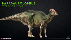 Parasaurolophus crytocristatus
