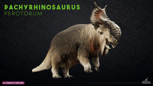 Pachyrhinosaurus perotorum
