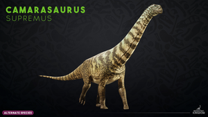 Camarasaurus supremus