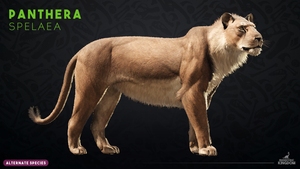 Panthera spelaea