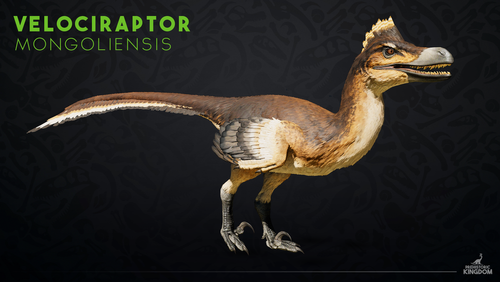 Velociraptor mongoliensis