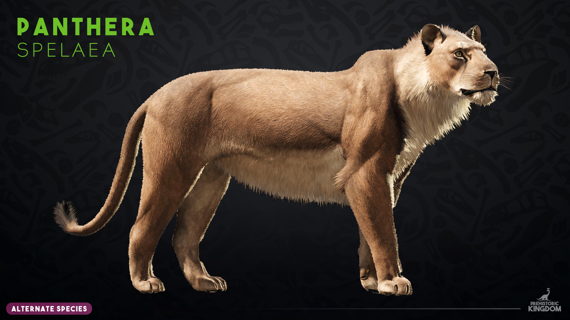 Panthera_S.png