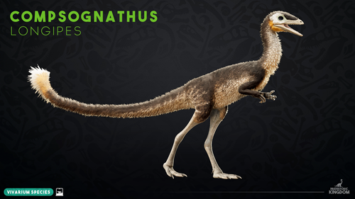 Compsognathus longipes