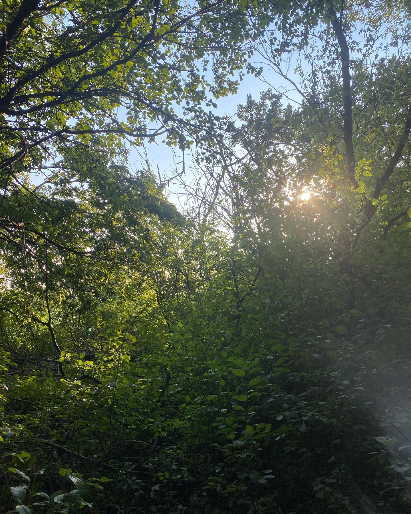 the threads of our hearts are often woven together by the hands of the mothers around us. 

amidst the concrete and steel of the east side, there lies a deeper connection - something that binds us to the earth beneath our feet. For honoring our land,