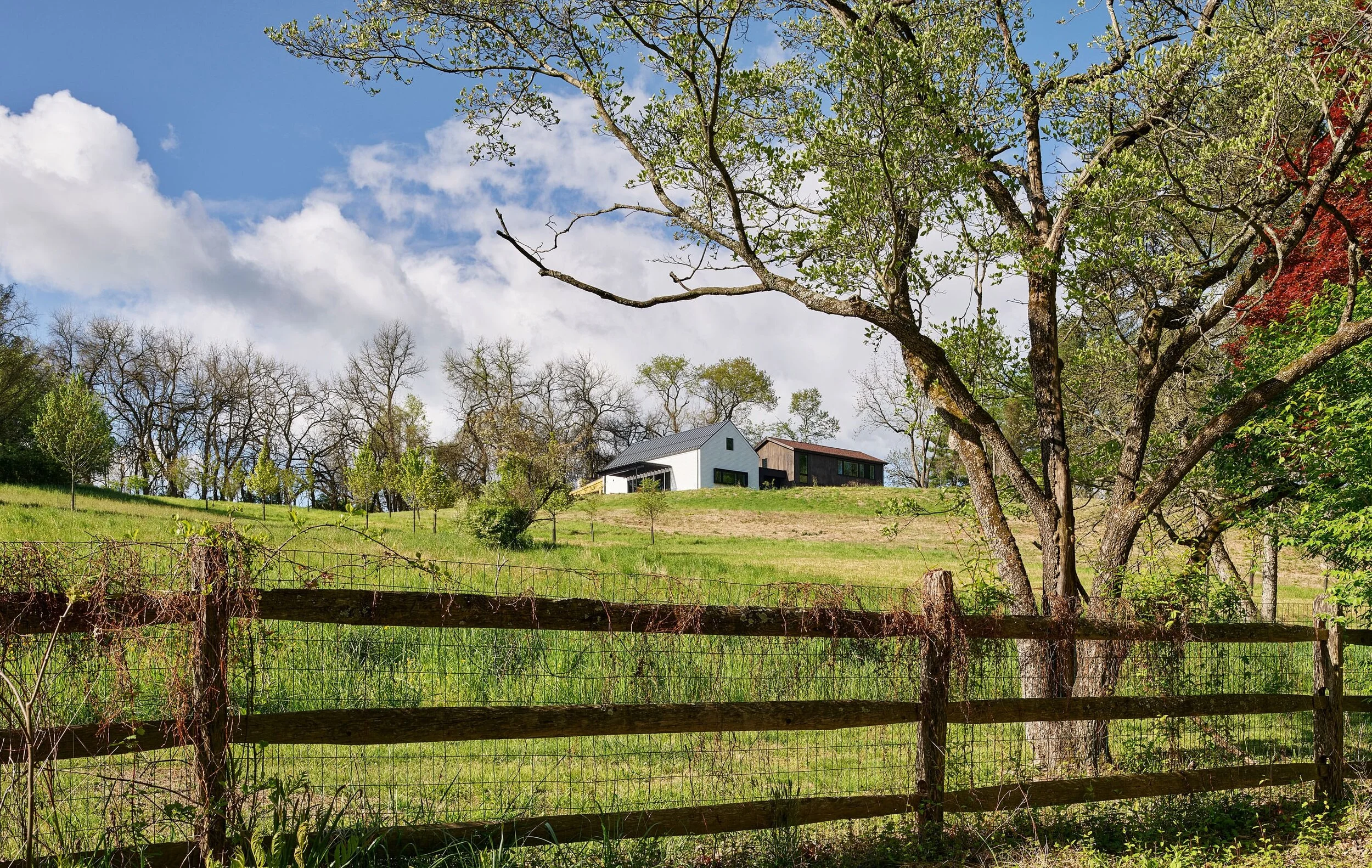 mamo-farmstead-1-1.jpg