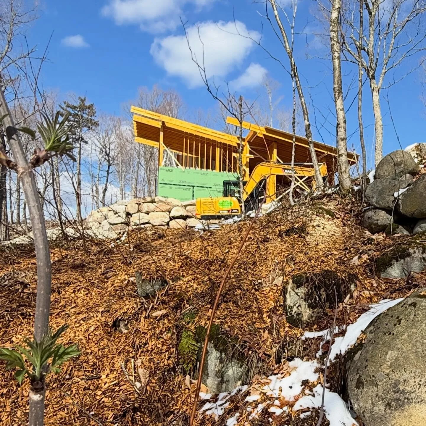 Cliffside

Set into the slope, not placed on it.
Structure, exposed and exact. No excess.

Winter lingers. The site is in transition.
The building responds in kind.

The building greets you and invites you into the site.
The main house is set into th
