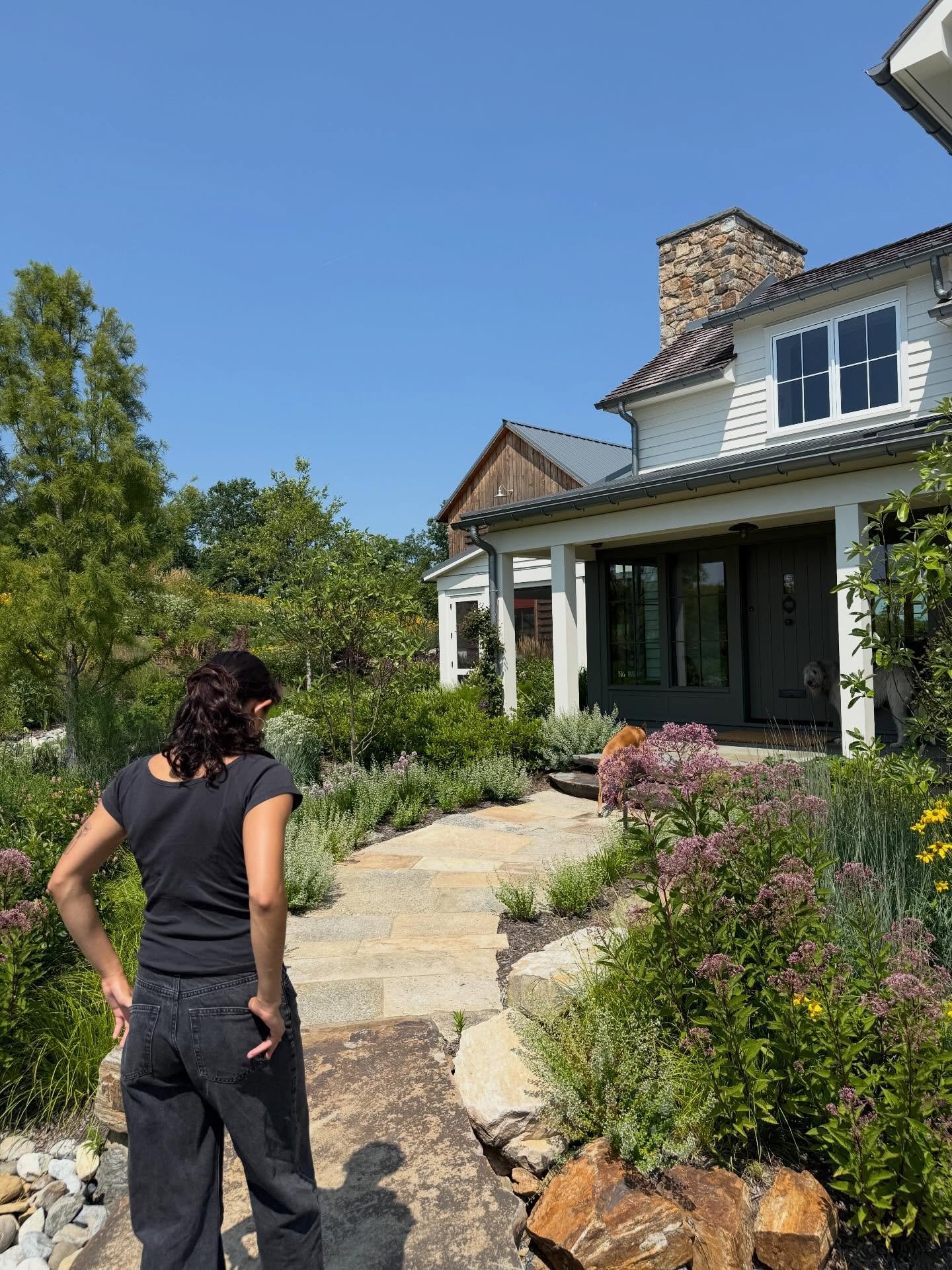 Returning to Cottage Between Two Barns.

The meadow has settled into its rhythm, with native plantings now alive with pollinators. Honey bees move from bloom to bloom, reminding us that thoughtful architecture extends beyond the walls of a home. It c