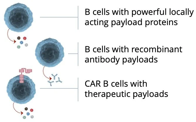 Screen Shot 2020-10-22 at 7.11.02 PM.jpg