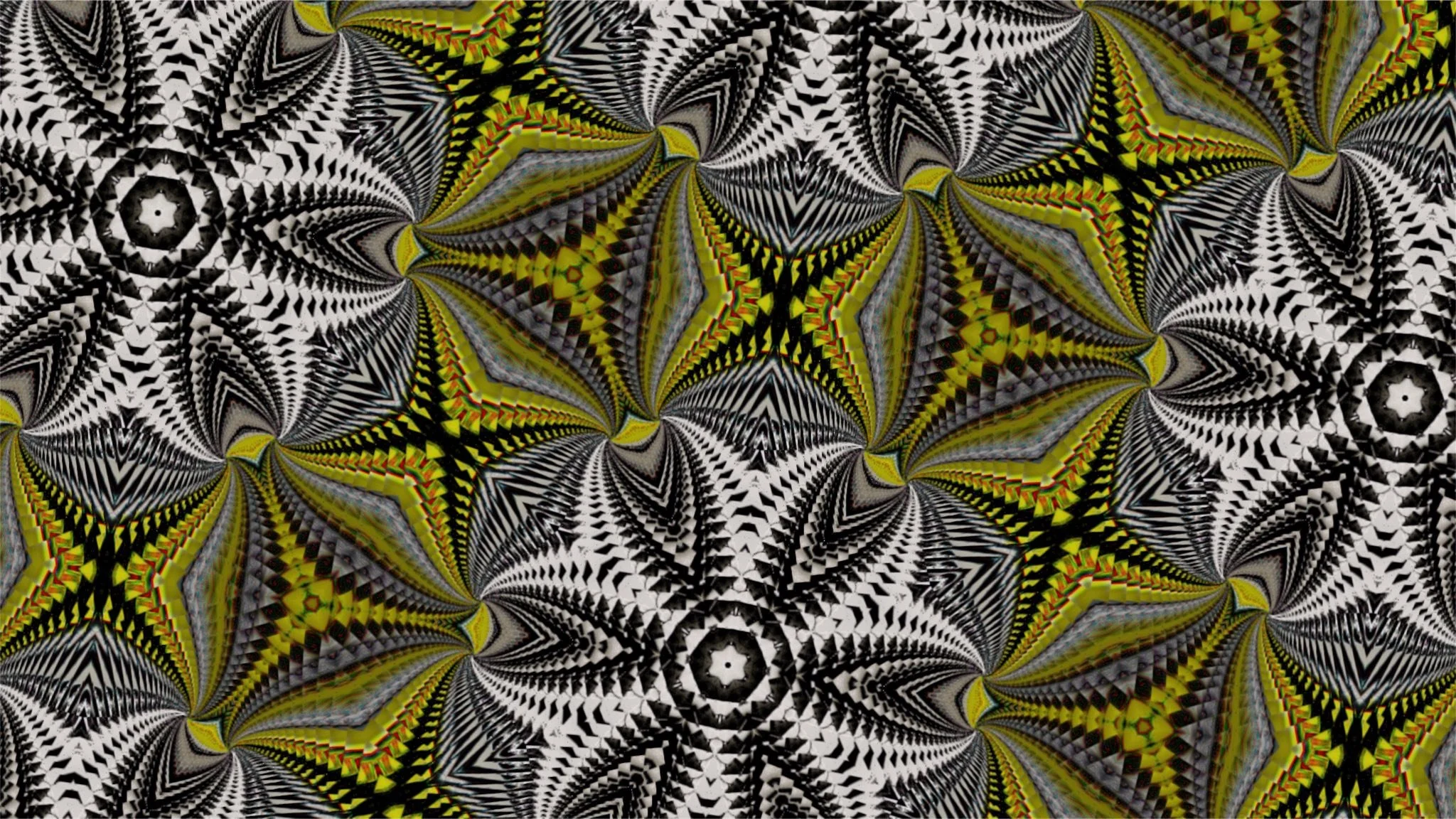 Brain coral1.jpg