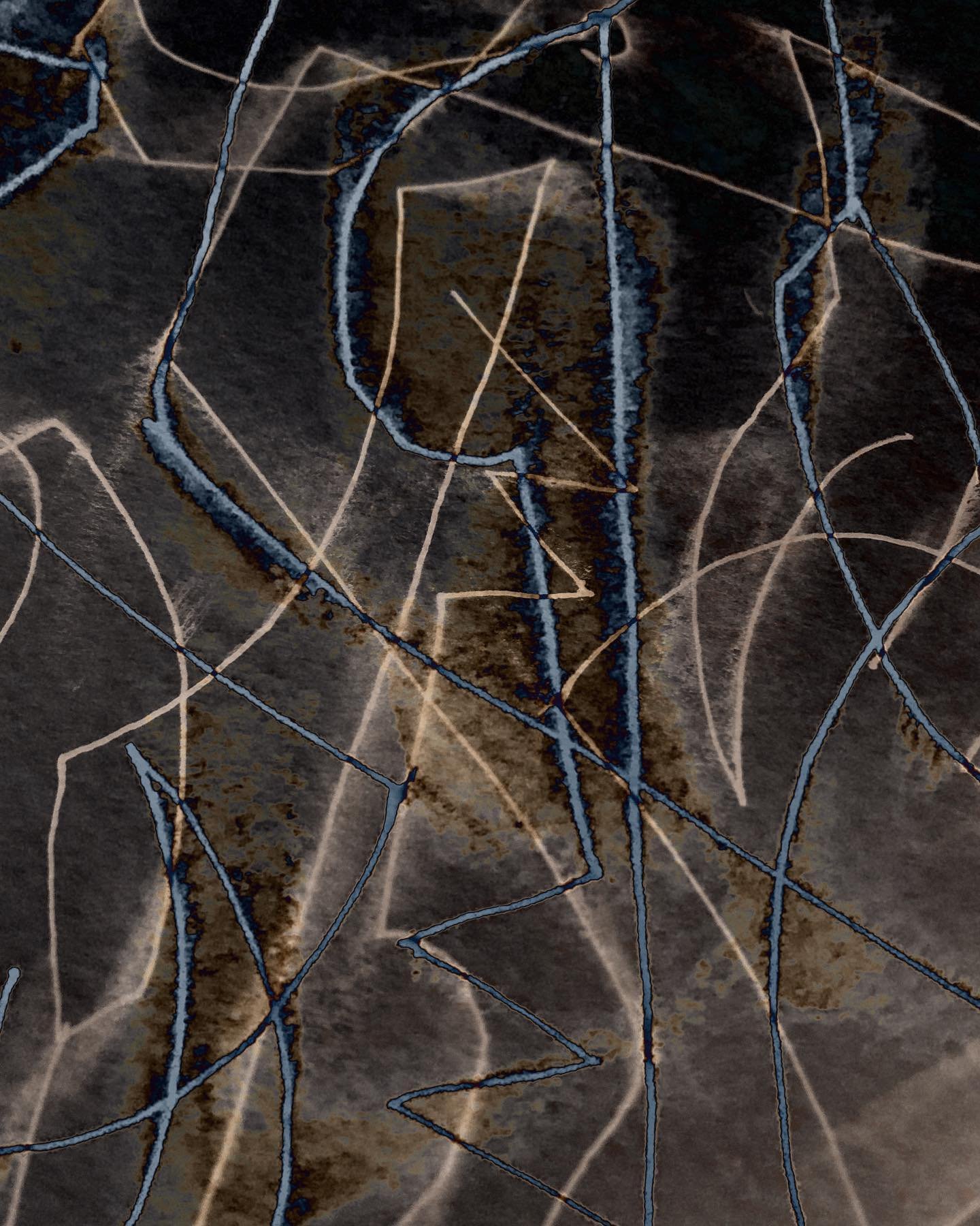 spiders4.jpeg