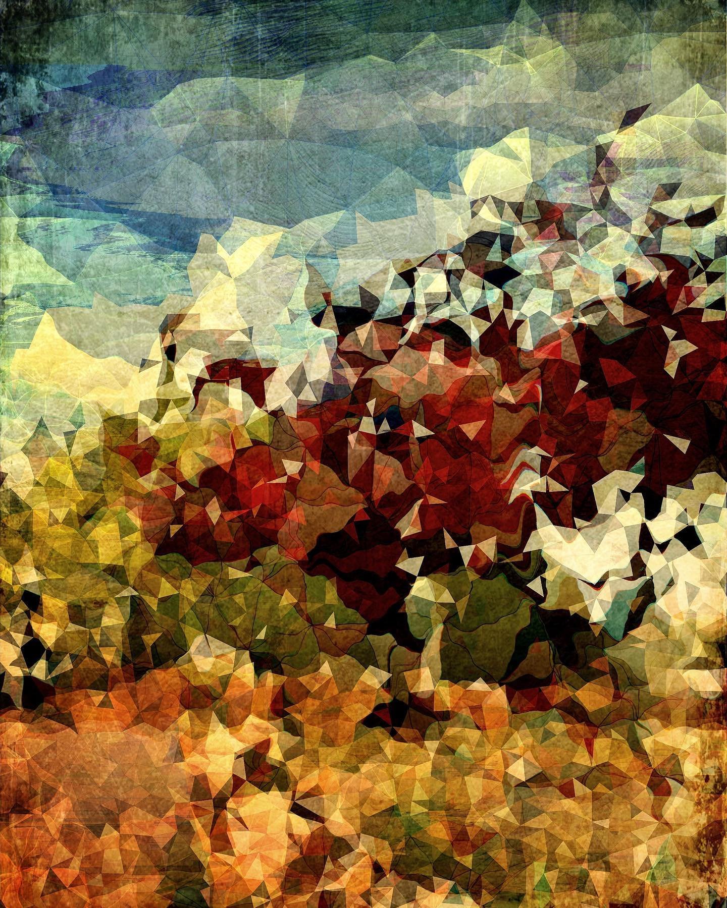 Plum trees1.jpeg