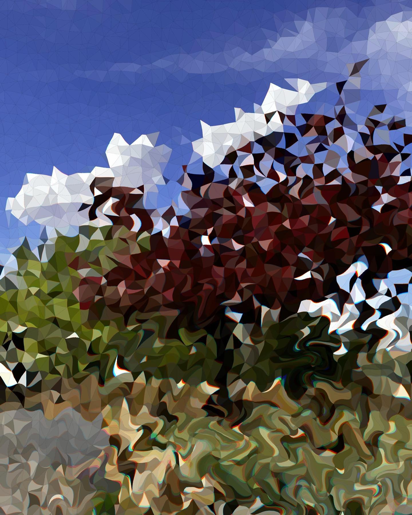 Plum trees3.jpeg