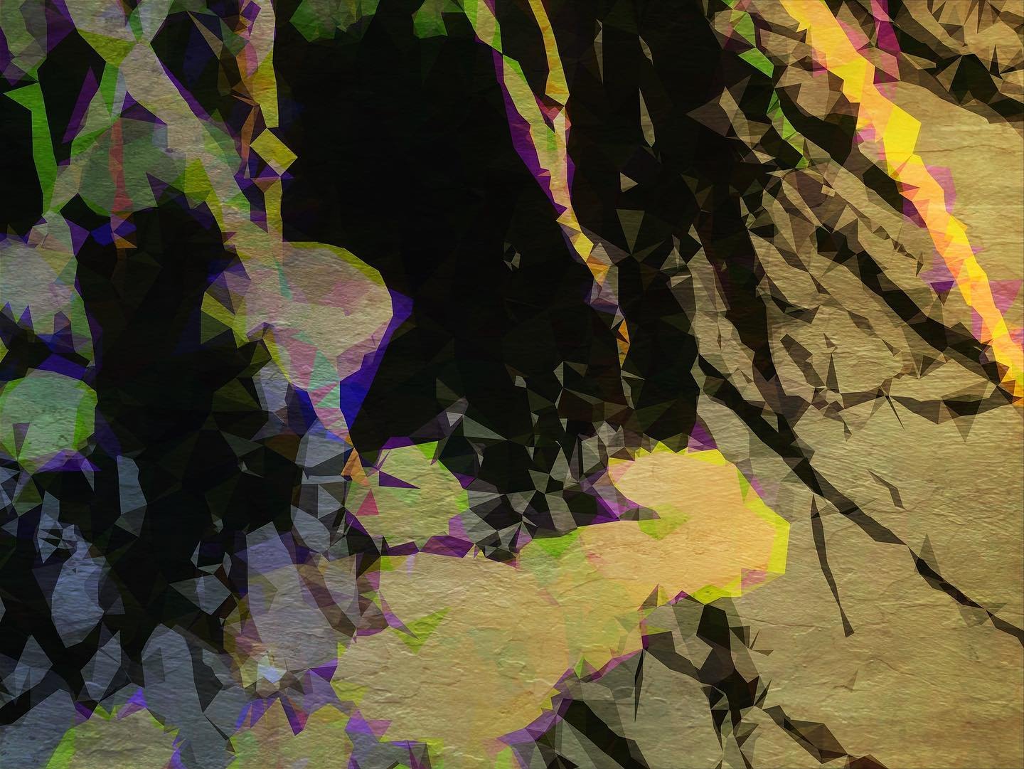 Lily Pond1.jpeg