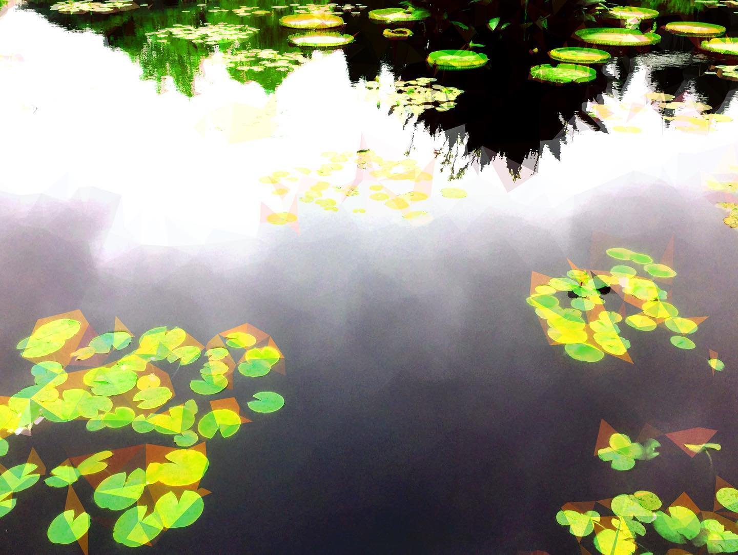 Lily Pond2.jpeg