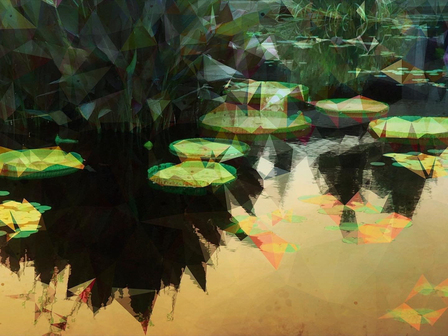 Lily Pond3.jpeg