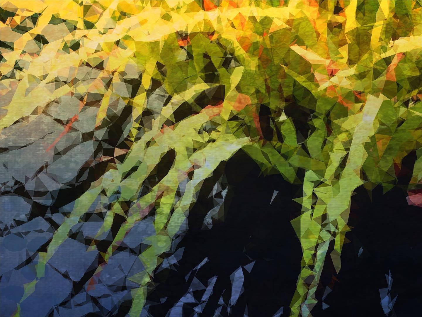 Pond Grass.jpeg