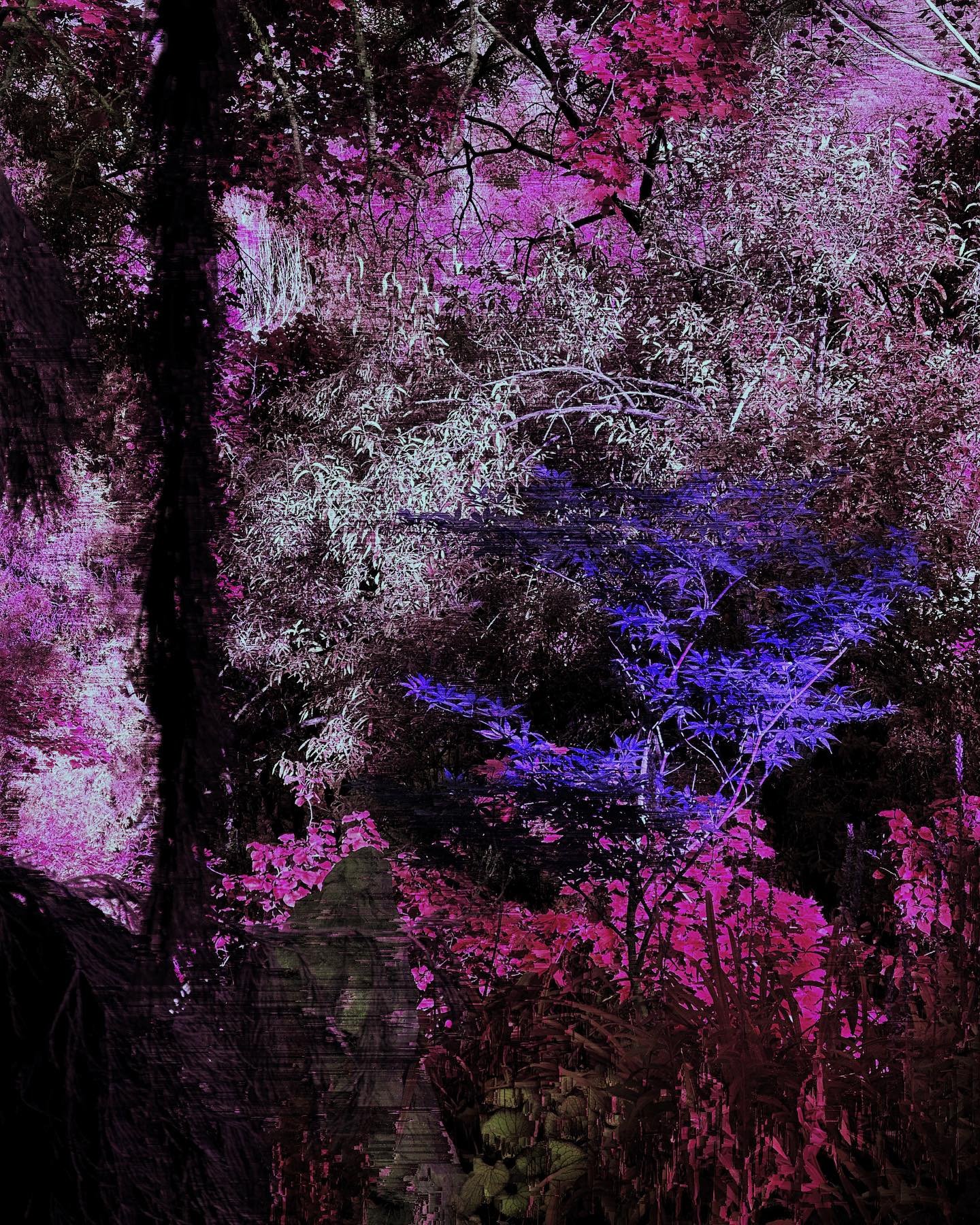 Night Garden.jpeg