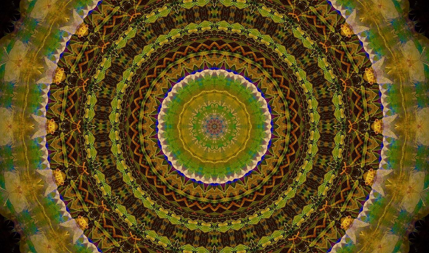 400012101_17997674372204951_7313178378084656432_n.jpeg