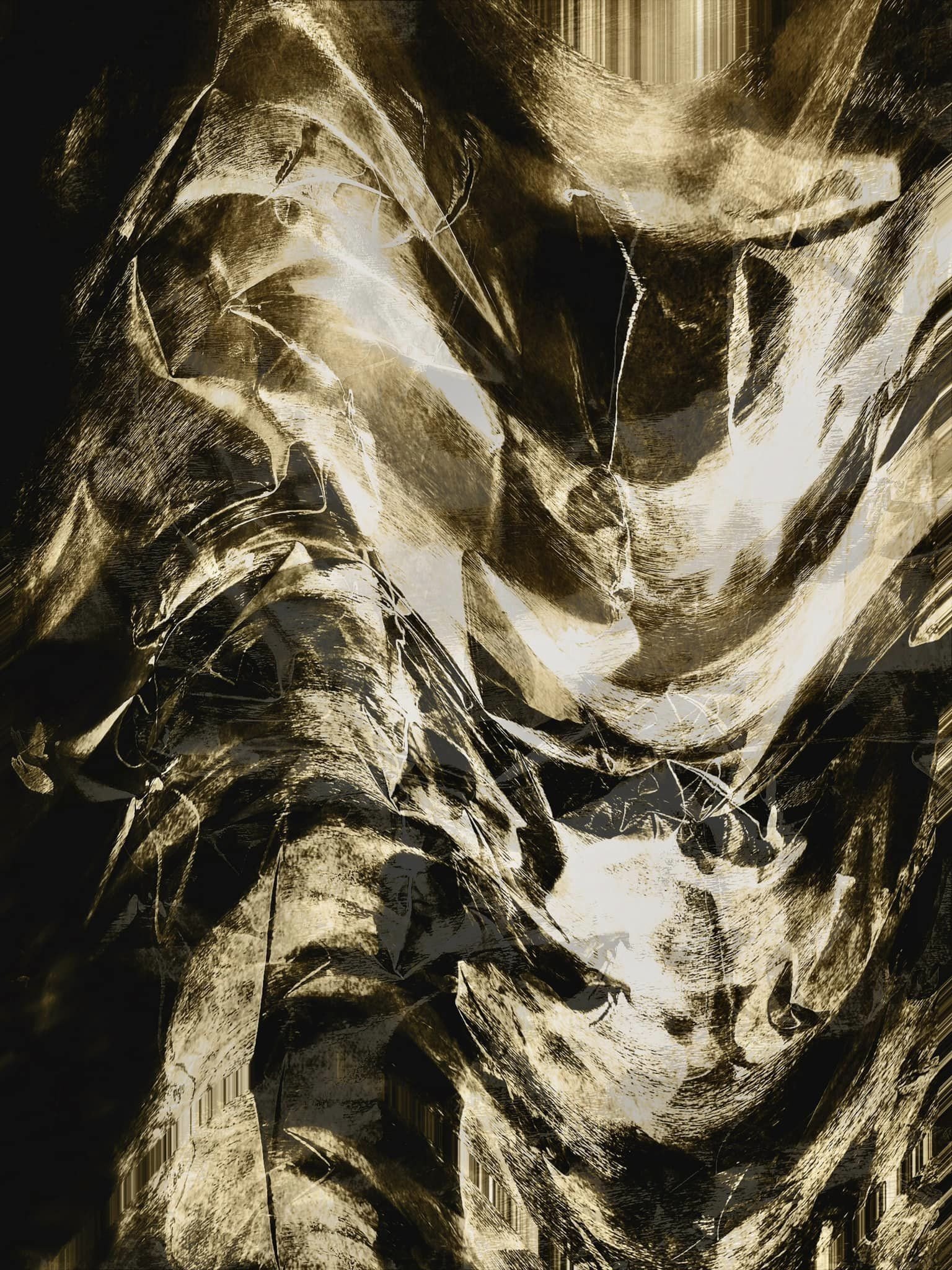Preserved specimens1.jpeg