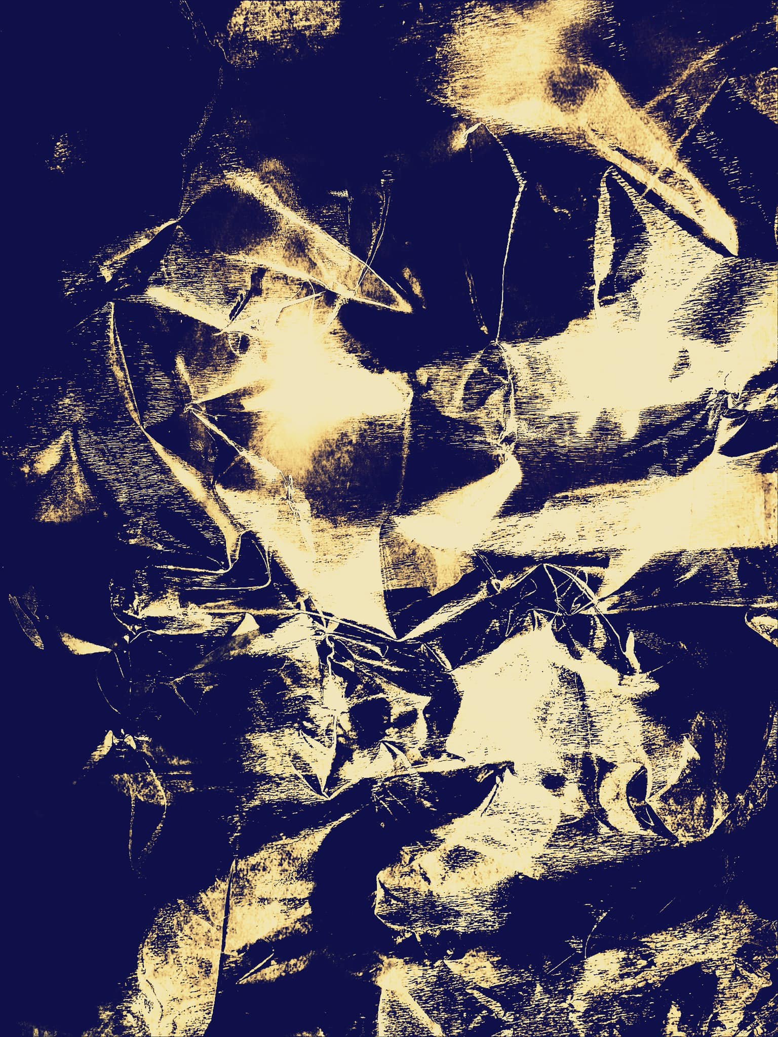Preserved specimens2.jpeg