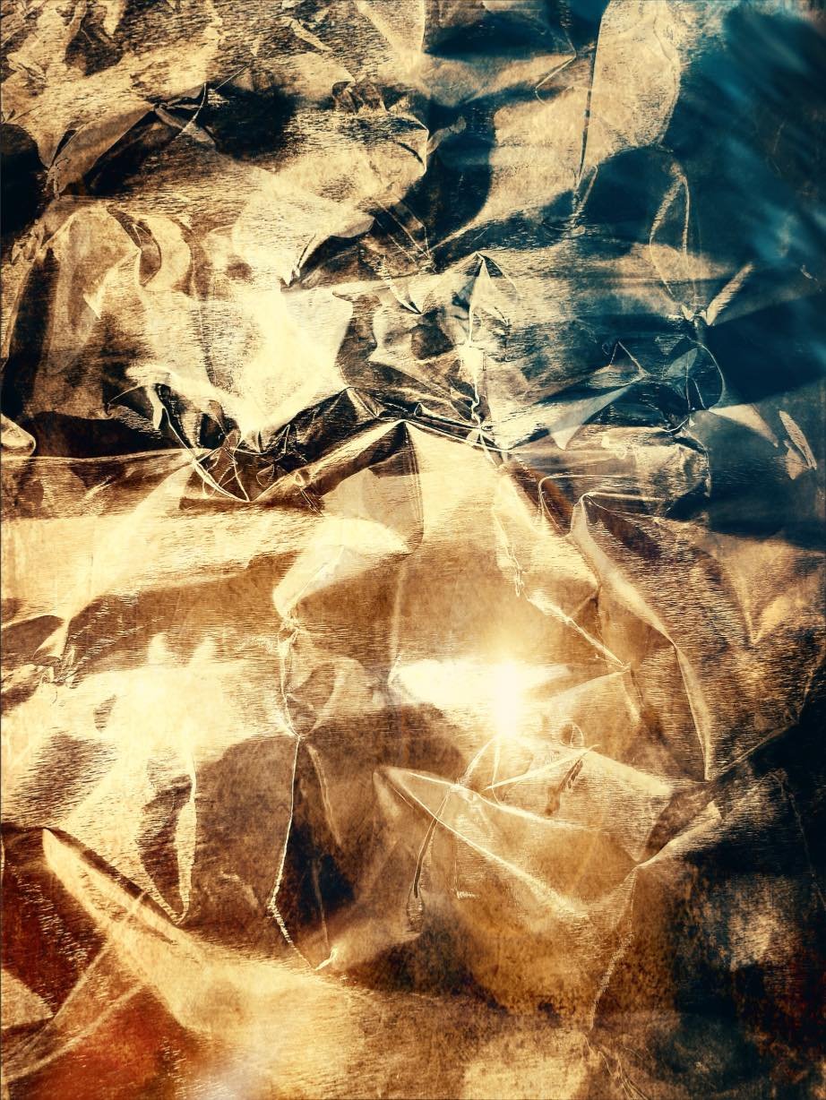 Preserved specimens3.jpeg