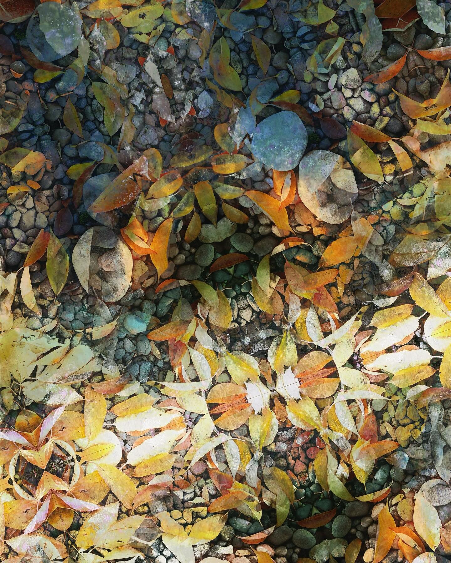 Leaves and Pebbles1.jpeg