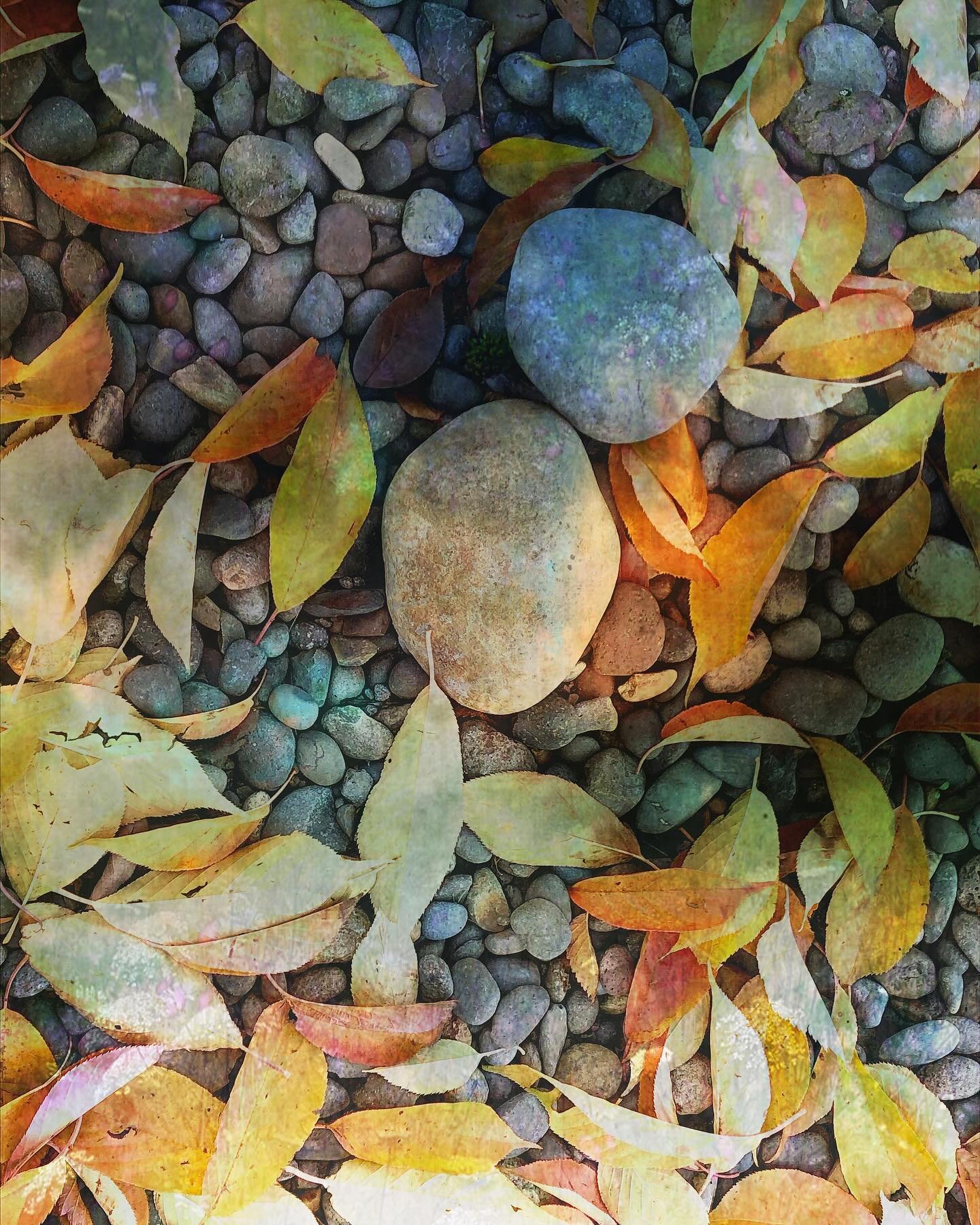 Leaves and Pebbles4.jpeg
