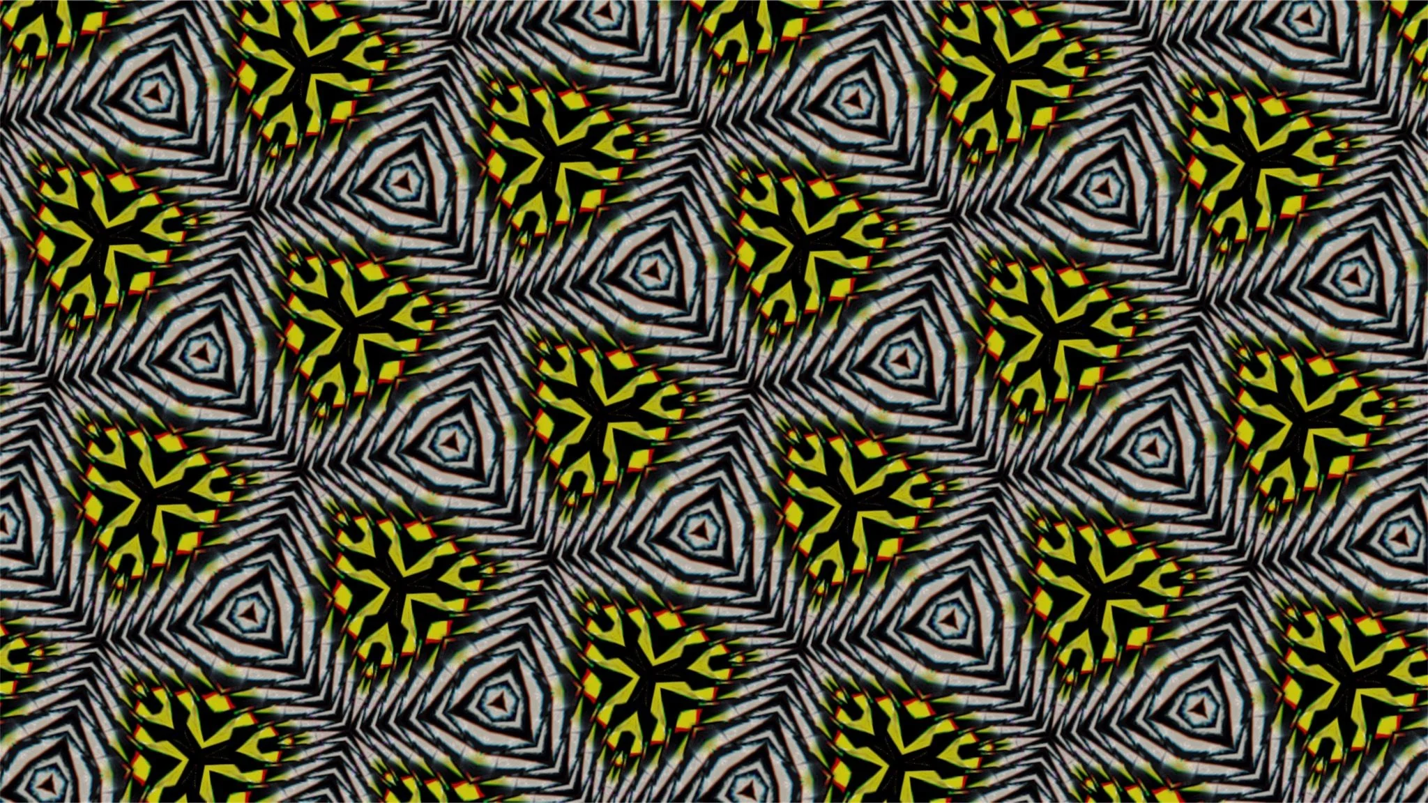 Brain coral3.jpg