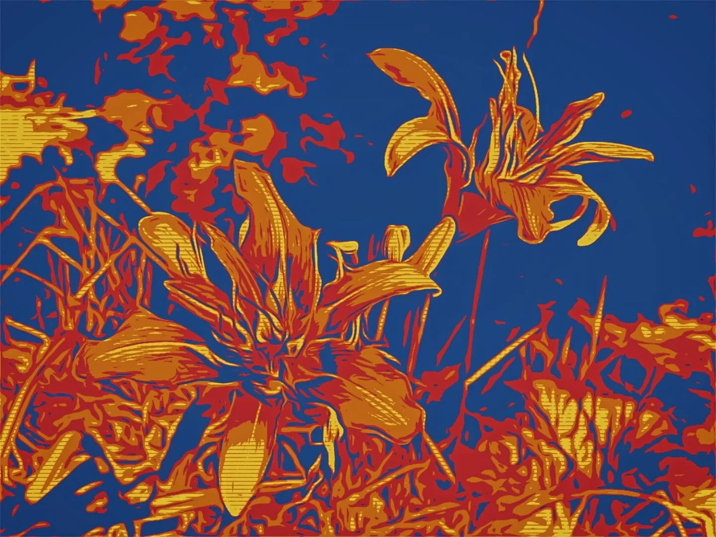 Lilies of the Canyon.jpg