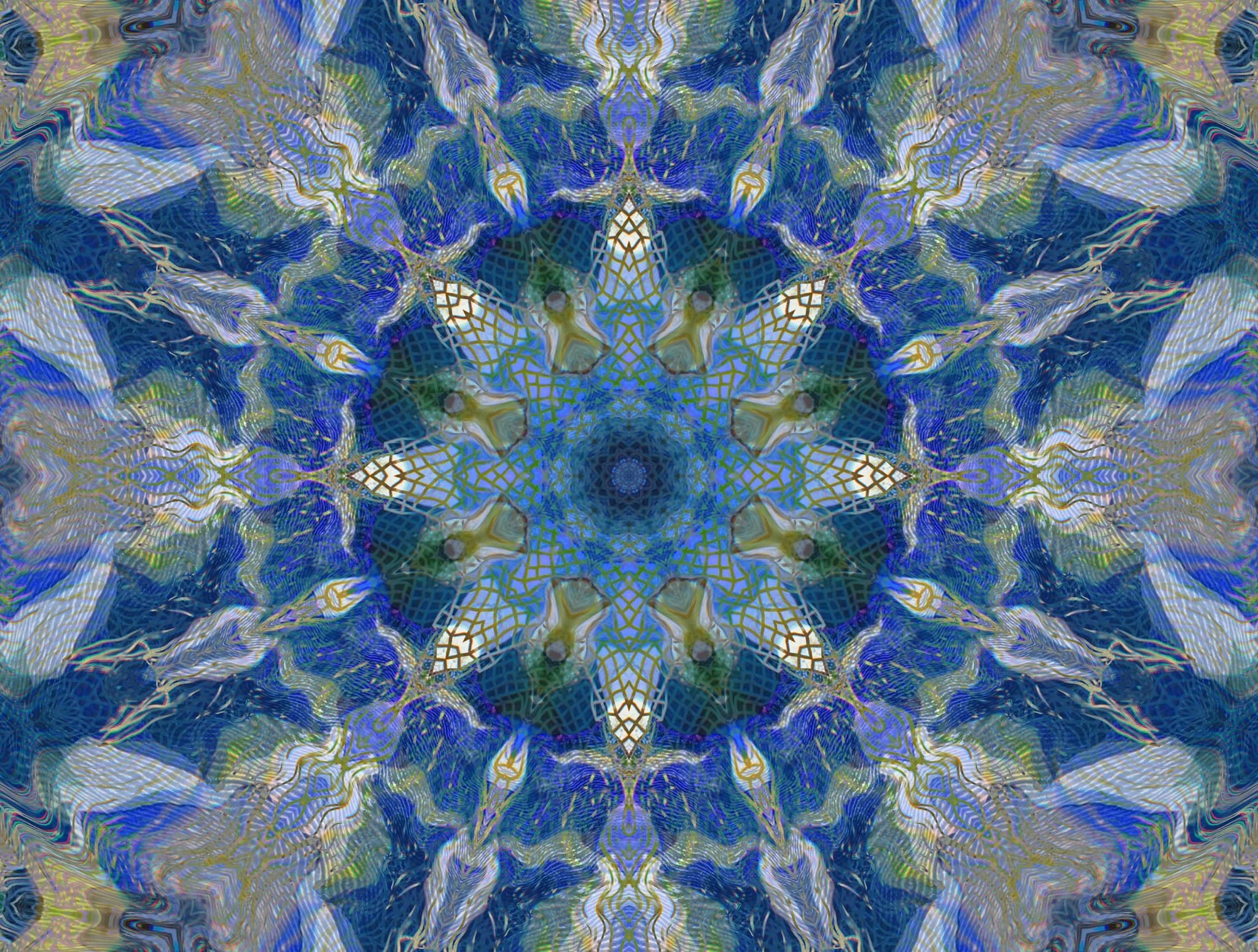 480529973_1170710105059621_6762335754139342873_n.jpg