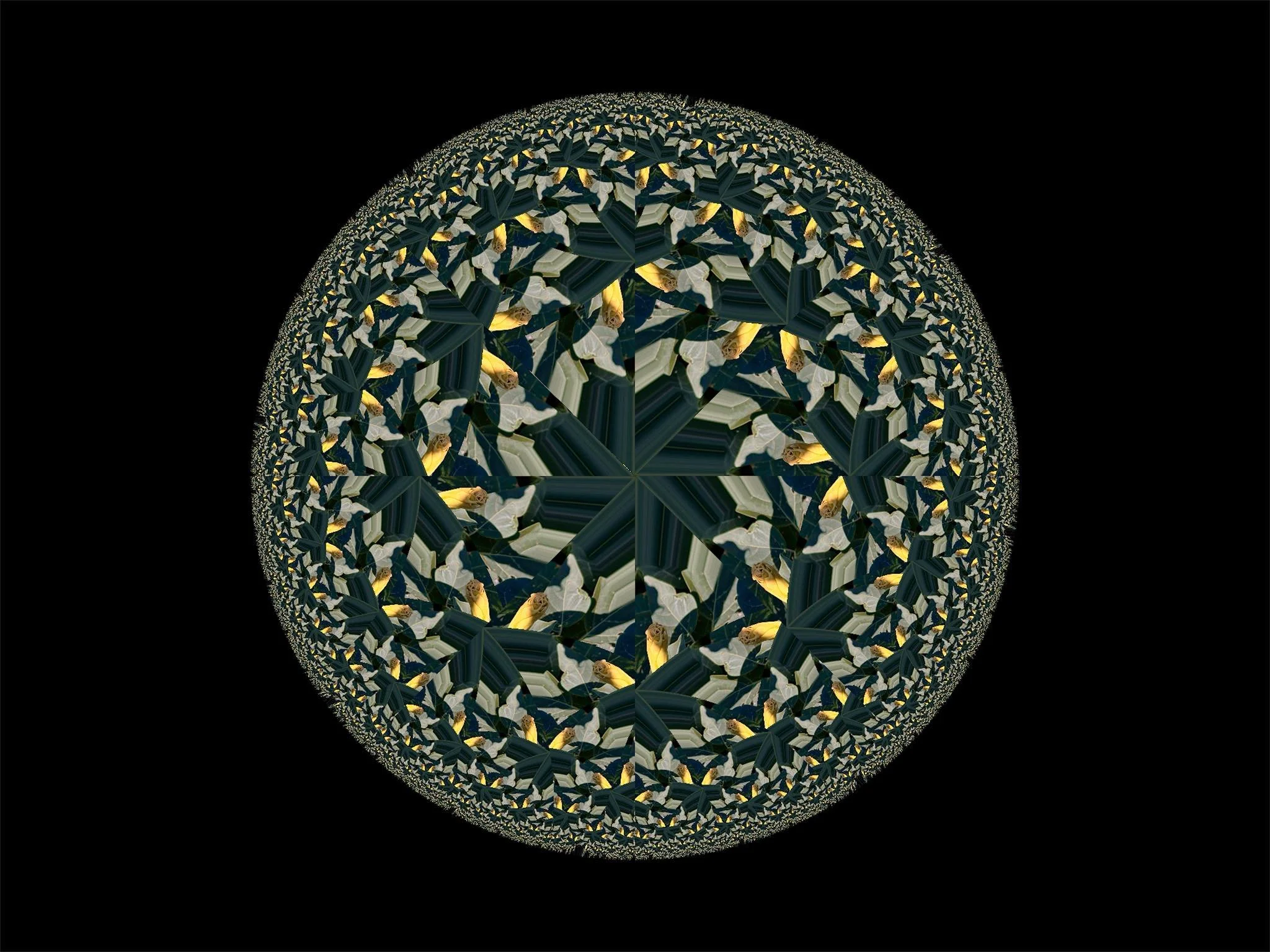 trip on datura2.jpg