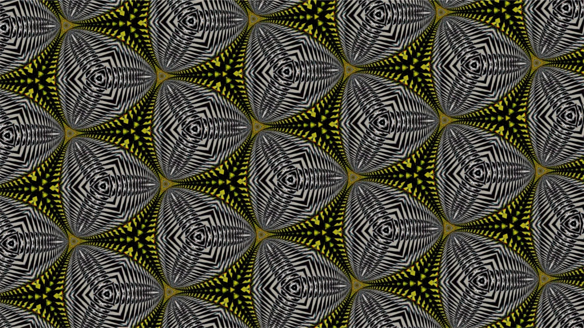 Brain coral2.jpg