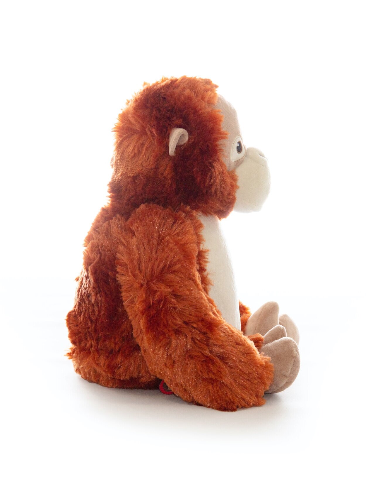 Orangutan+Side.jpg