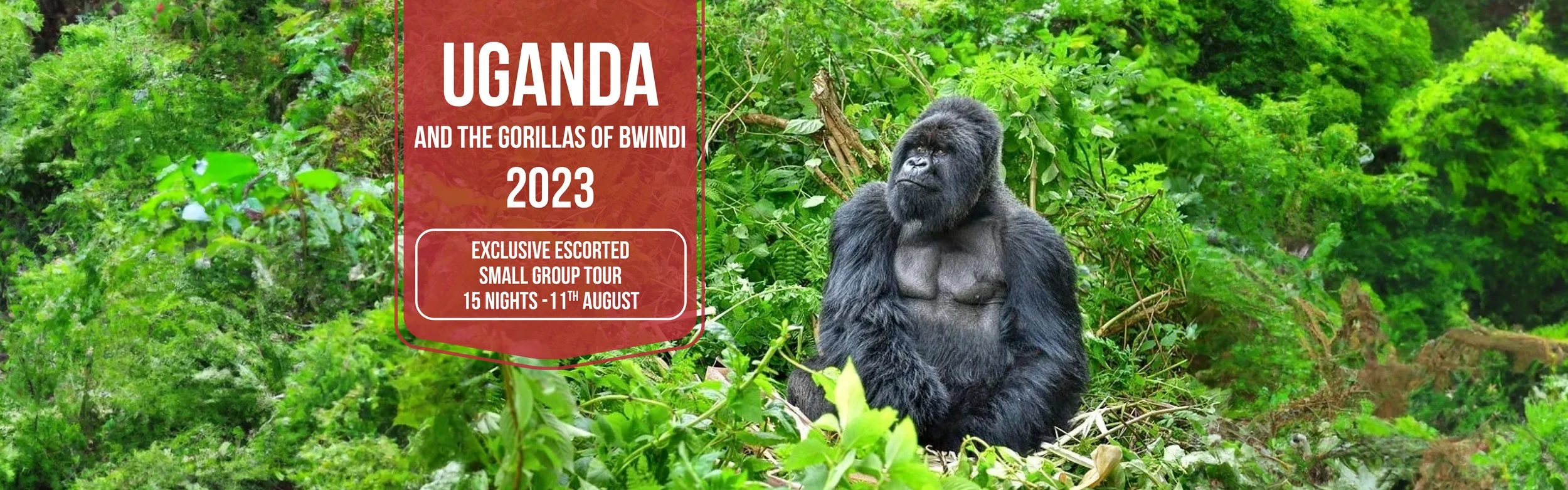 Uganda 2023 Banner.jpg