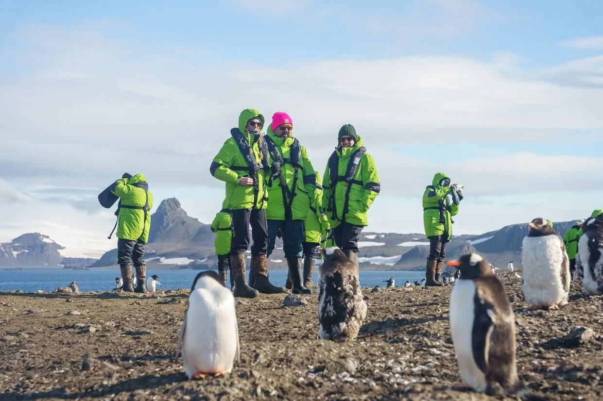 Atlas Penguins.JPG